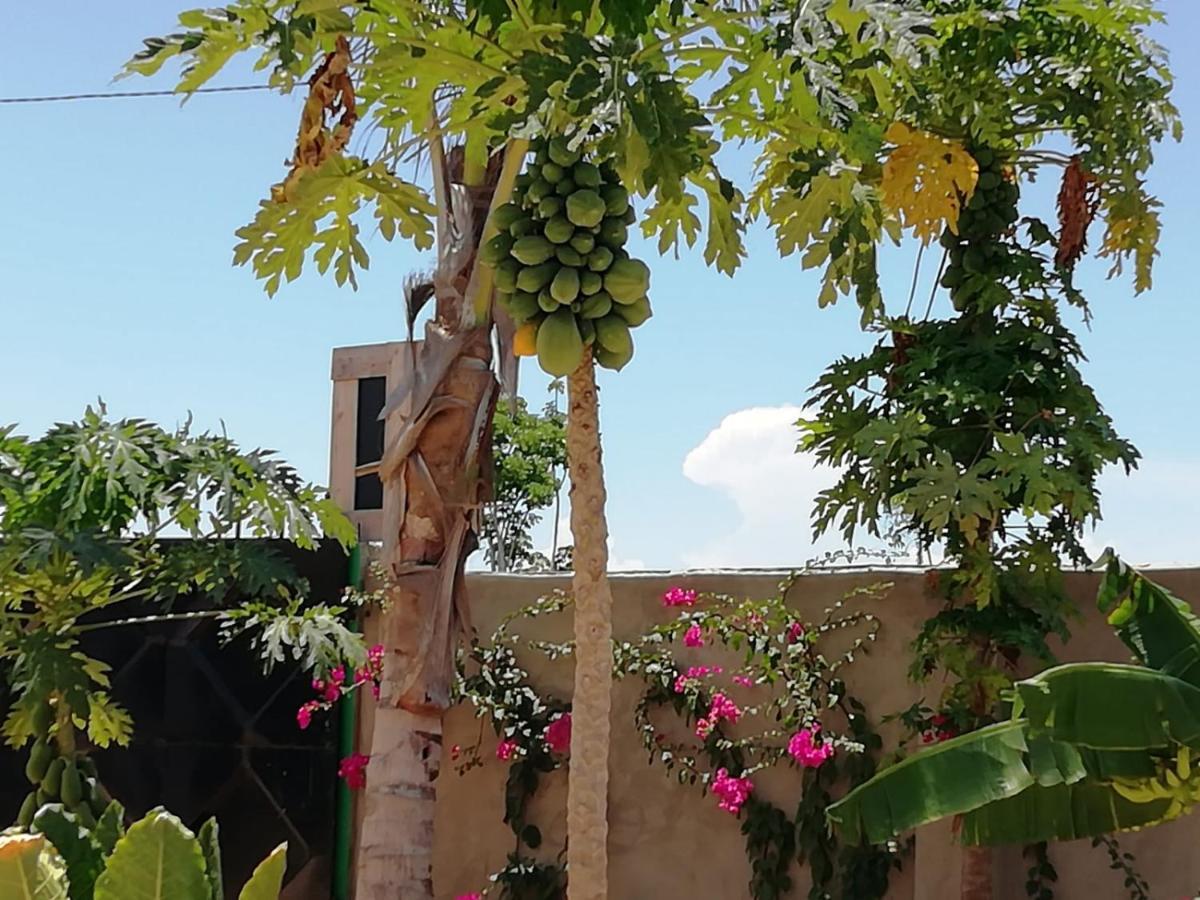 مبيت وإفطار Kendwa Carletto Style المظهر الخارجي الصورة